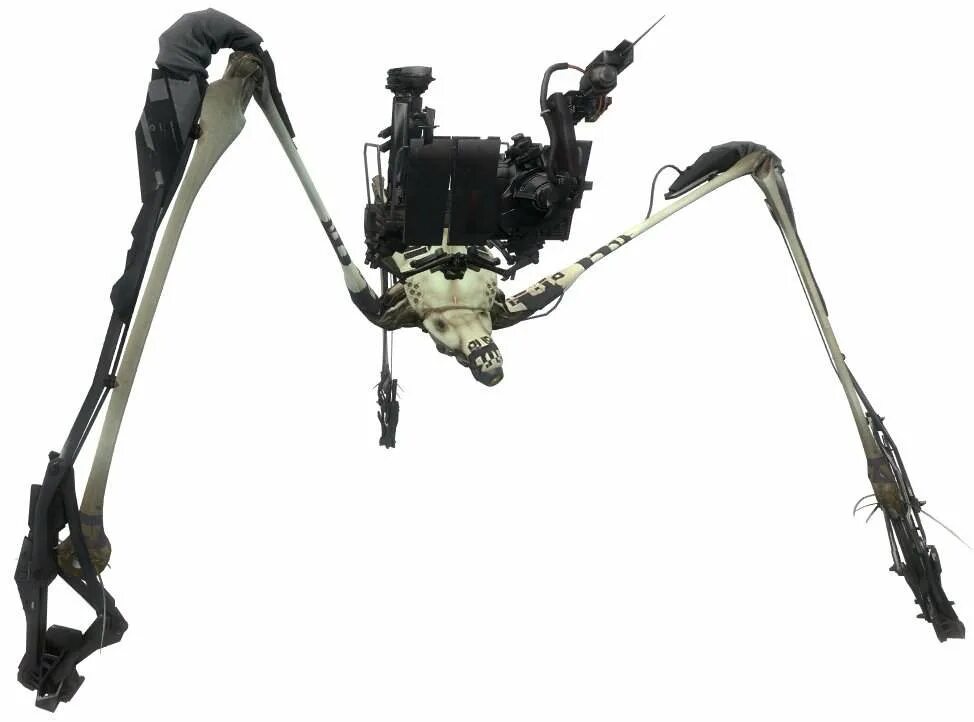 Upgraded camera strider