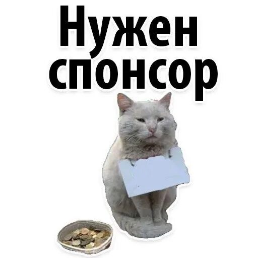 Спонсор про