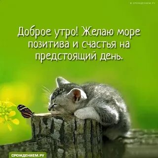 Желаю море позитива