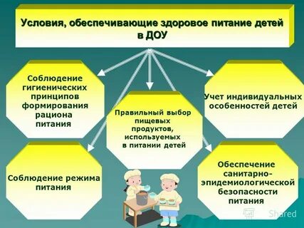 Организация жизни в доу