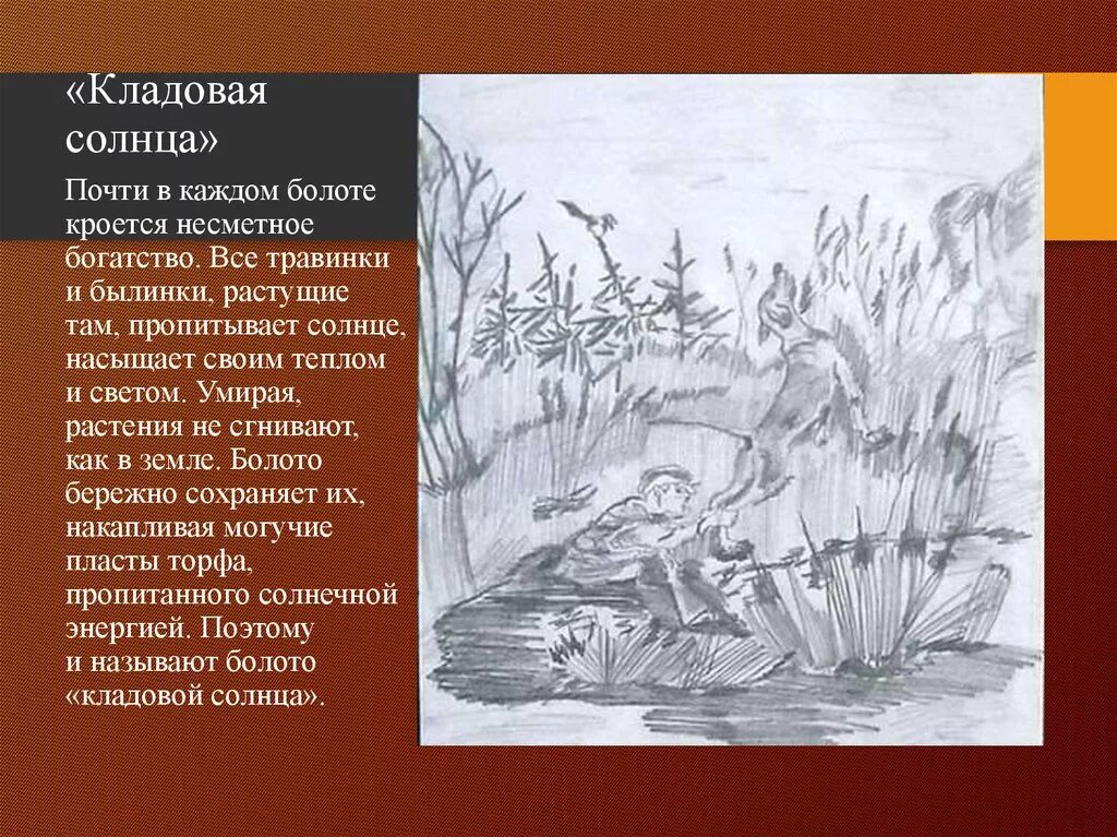 Кладовая солнца сказка быль в сокращении. Сказ Пришвина кладовая солнца. Кладовая солнца 2 и 3 глава. Фрагмент из рассказа кладовая солнца. Иллюстрация к 4 главе кладовая солнца.