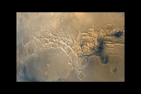 На какой планете находится лабиринт ночи