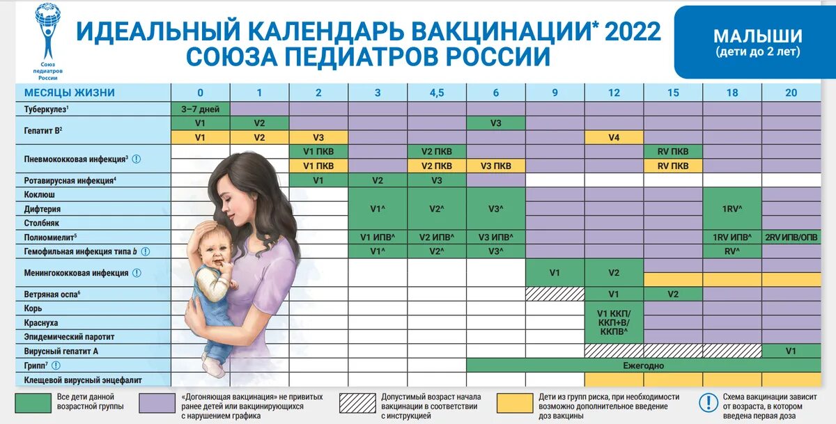 Прививки по возрасту таблица детям до 7 Вакцинация по национальному календарю прививок