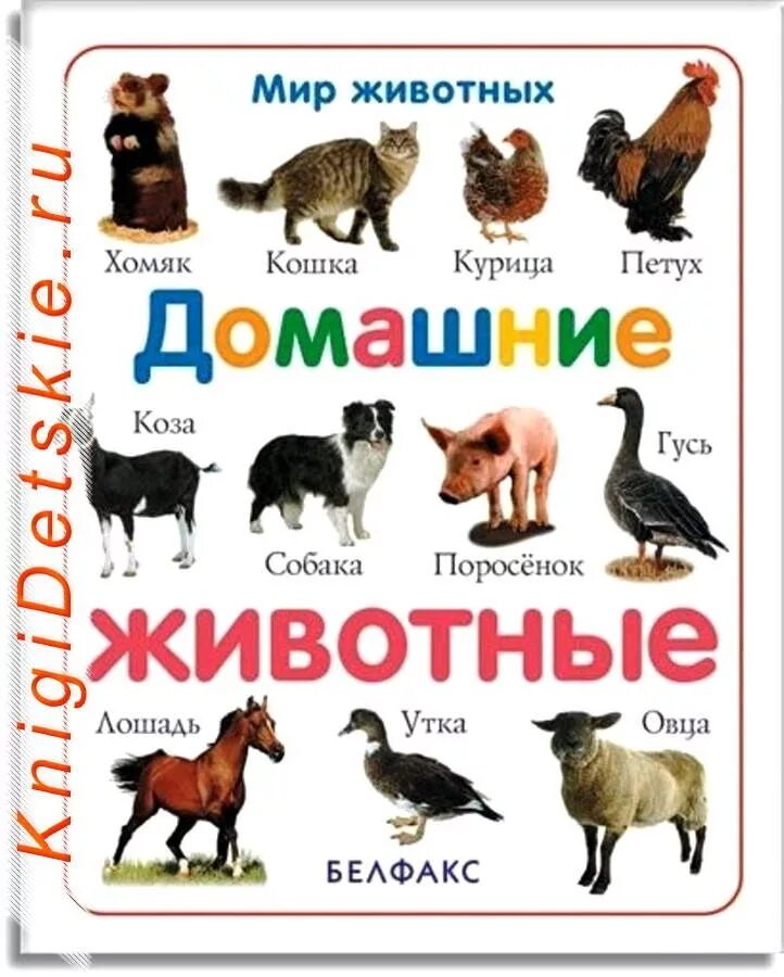 Домашним животным называется