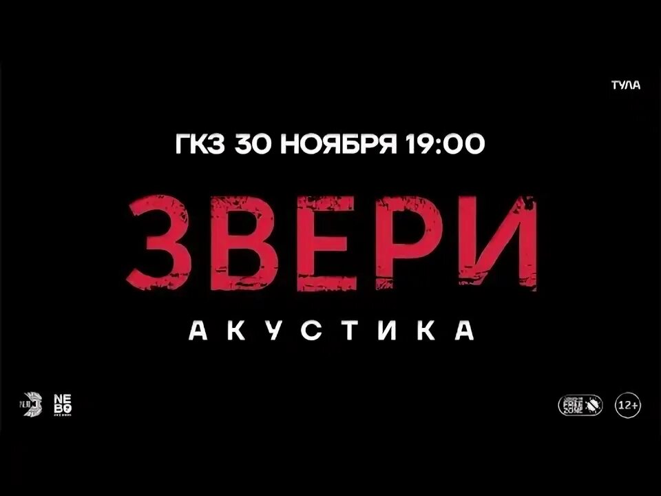 Звери акустика. Звери концерт в СПБ 2021. Группа звери в СПБ 2021. Звери билеты Санкт-Петербург.