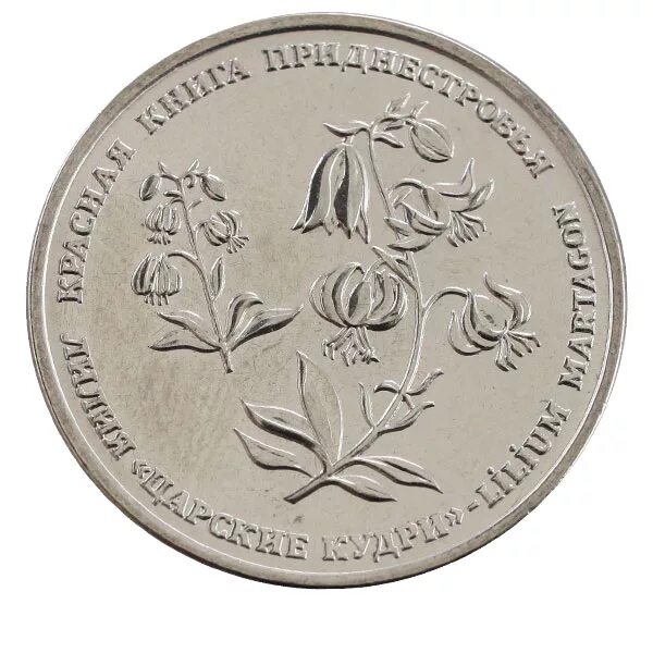 приднестровье 1 рубль 2019 год металлической крысы. монета 1 рубль 2019. 1 рубль 2019 шт. 1 рубль 2019 года ммд. монета 1 рубль 2019 года.