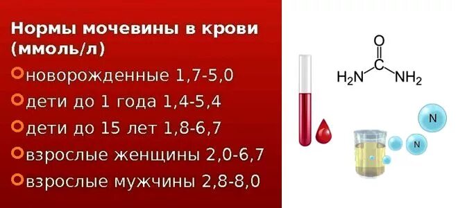 Мочевина креатинин норма у мужчин. Мочевина показатели нормы в крови. Мочевина 5.6 ммоль. Нормальные показатели мочевины крови. Мочевина плазмы крови норма.