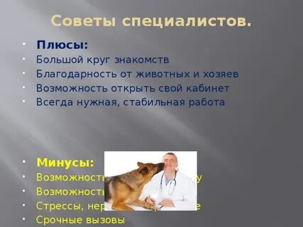 Занятие профессия ветеринар