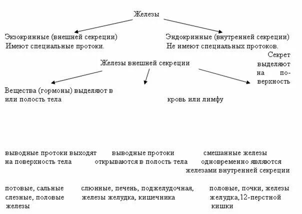 Железы внутренней внешней и смешанной секреции таблица. Железы смешанной секреции таблица. Железы внутренней и внешней секреции таблица. Железы внутренней и смешанной секреции таблица.