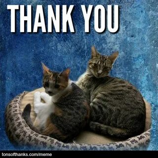 Nice thanks