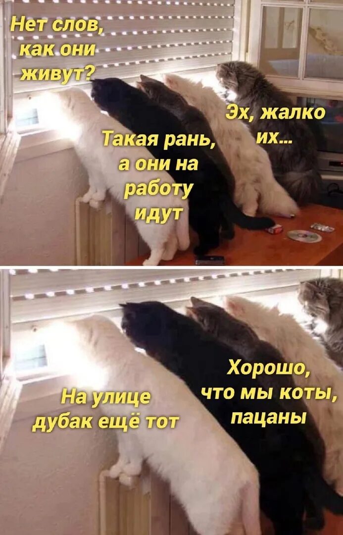 Слова уйду утром