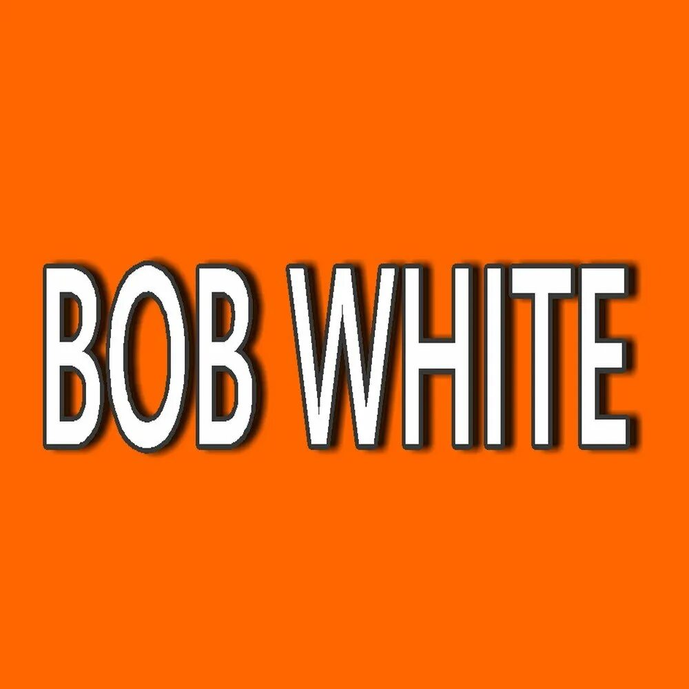 Bob white. Боб уайт. Боб уайт. Bobby white. Боб уайт.