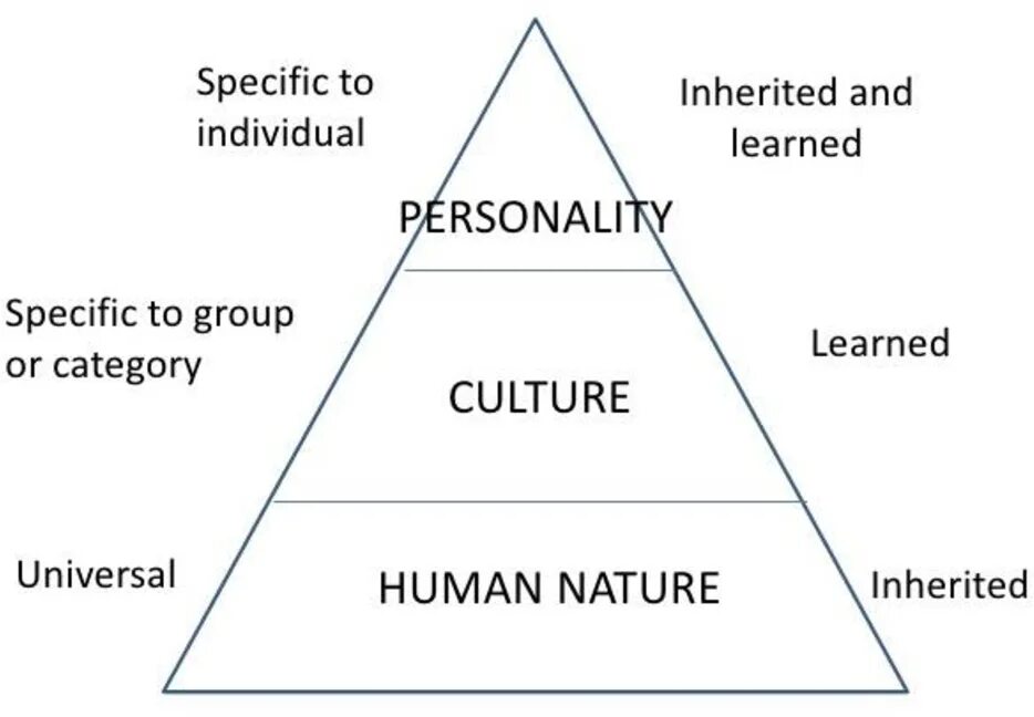 Human level. Geert Hofstede Mental Programming. Cultural Theory. Герт Хофстеде ментальное программирование. «Organizational Culture and Leadership» книга Шейна.