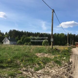 Ленинградская область 41к 313 30