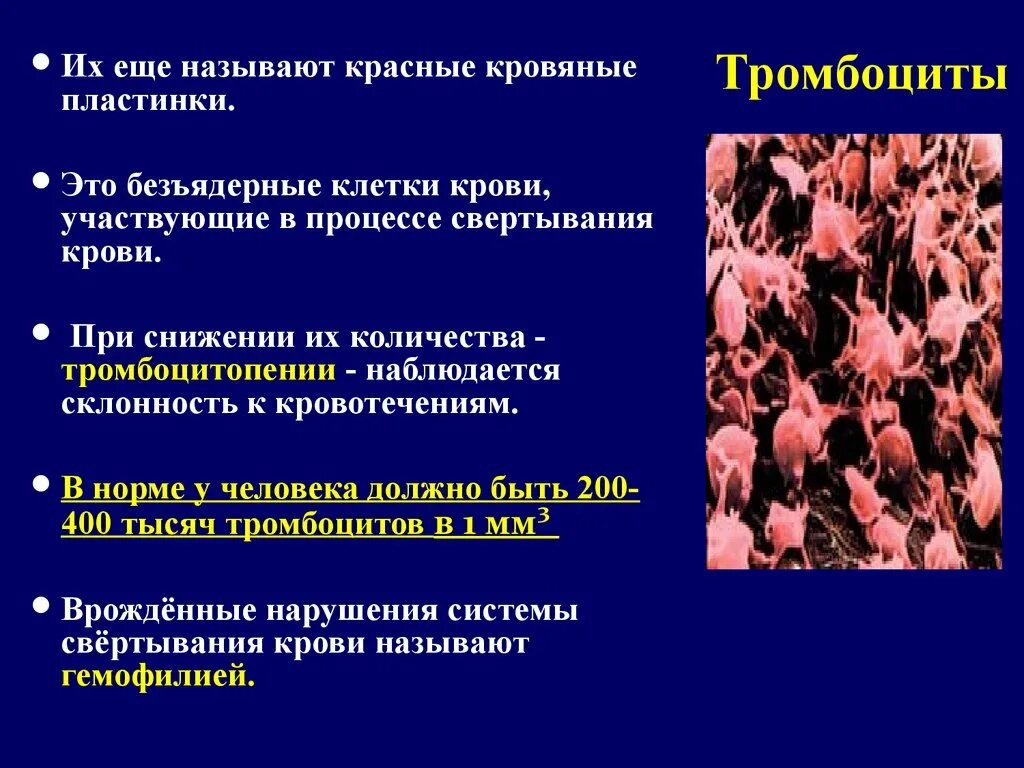 Уменьшение количества тромбоцитов в крови называется. Тромбоциты. Снижение количества тромбоцитов. Заболевание при пониженных тромбоцитах.