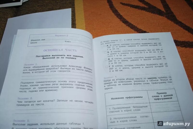 Комплексная работа 3 класс с ответами 2024. Мои достижения итоговые комплексные. Комплексная работа 4 класс Логинова. Логинова комплексная работа 3 класс. Мои достижения комплексные работы 4 класс.