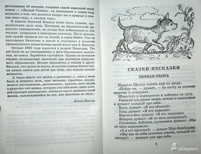 Бианки зимняя сказка несказка. Бианки в. &quot;сказки-несказки&quot;. стихи бианки. тайна ночного леса бианки.