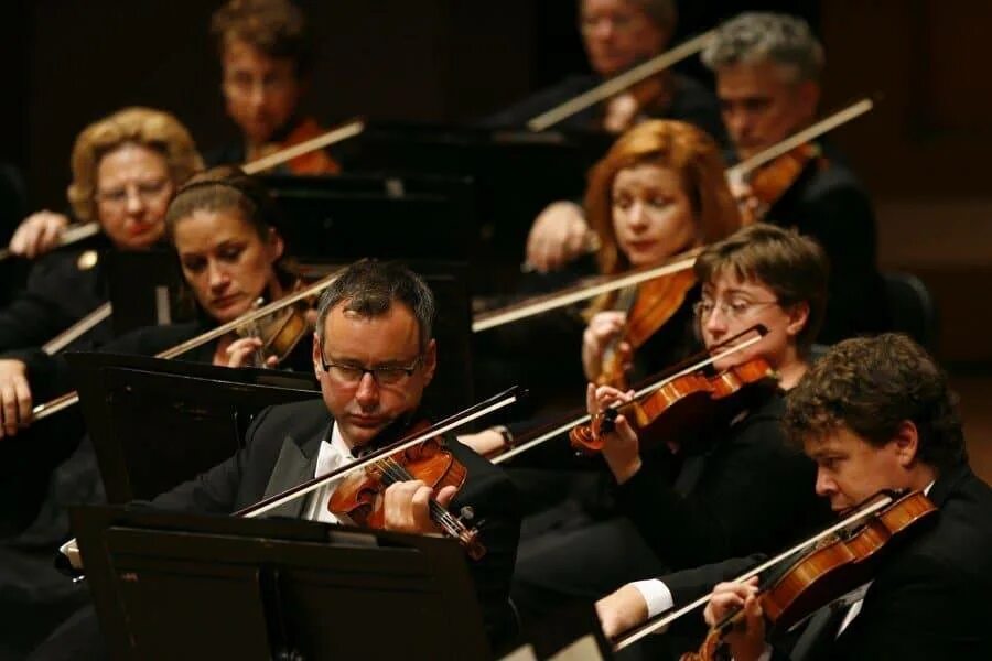 Strings section. Strings section