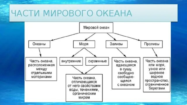 Части мирового океана 6 класс география таблица. Структура мирового океана схема. Блок схема составные части мирового океана. Части мирового океана схема 6 класс.