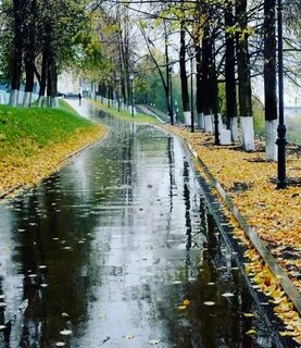 Погода до осени