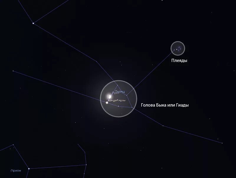 Созвездие Телец Плеяды и Гиады. Гиады в созвездии тельца. Созвездие Телец Гиады Плеяды Альдебаран. Созвездия Альдебаран Плеяды. Что такое плеяды в астрономии