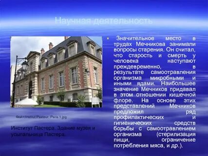Научная деятельность мечникова