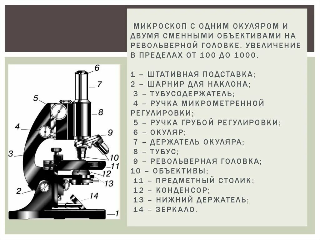 Какое увеличение у цифрового микроскопа. Увеличение микроскопа окуляр 10 объектив 60. Цифровой микроскоп 60 окуляр. Микроскоп строение тубусодержатель 2 окуляра. Увеличение штативного микроскопа окуляр 20.