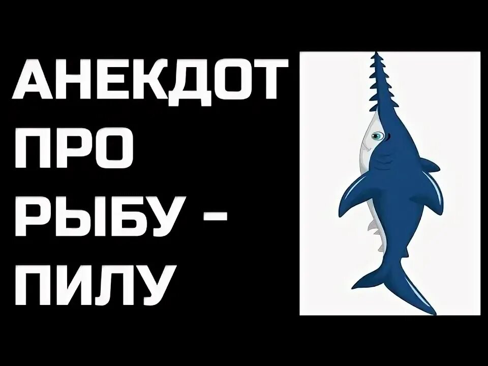 Рыба пила анекдот. Анекдот про рыбу пилу. рыба пила прикол. рыба пила прикол картинки. рыба пила смешные картинки.