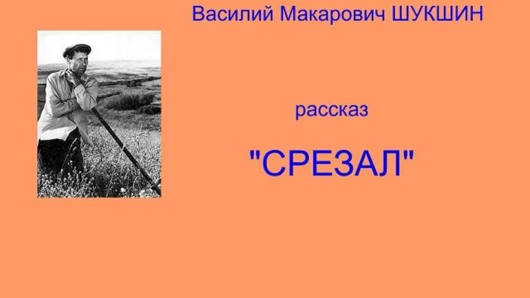 Шукшин писатель срезал