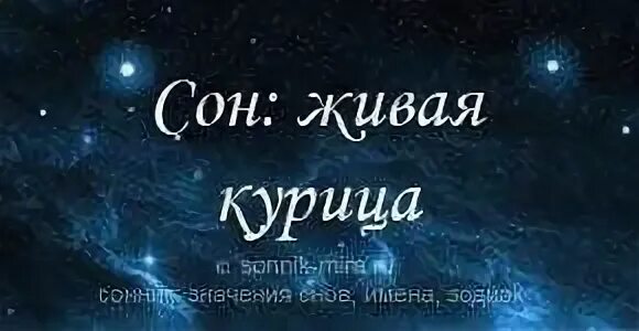 Сонник толкование к чему снятся куры. Сонник-толкование снов куры. сонник к чему снится курица живой. сонник-толкование курицы. сонник-толкование снов к чему снится курица.