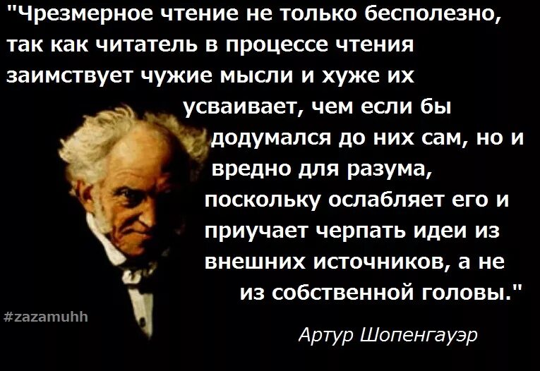 Шопенгауэр читать афоризмы. Высказывания шопенгауэра. шопенгауэр про чтение книг.