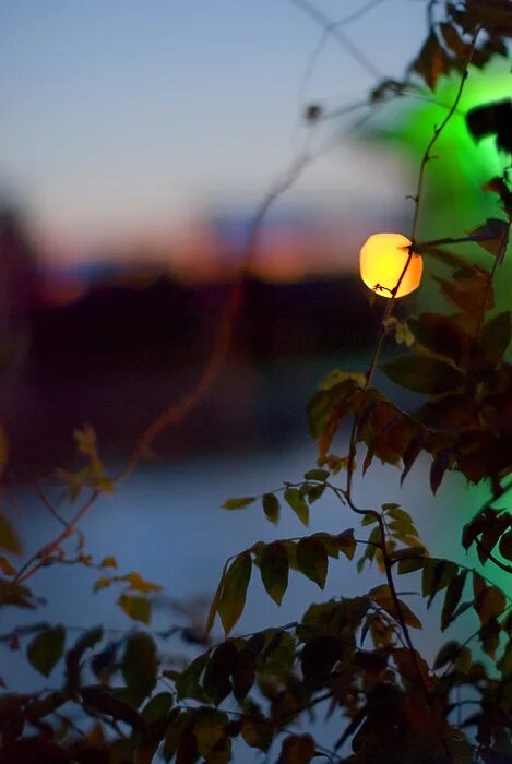 тающий закат. природа вечер. закат на реке. необычный закат. явления природы закат.