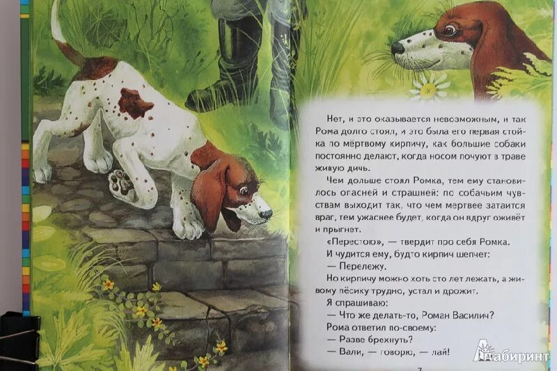 Пришвин стойка. М пришвин ярик рисунок. Первая стойка пришвин. Пришвин стойка. Пришвин стойка.