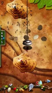 Игра pocket ants