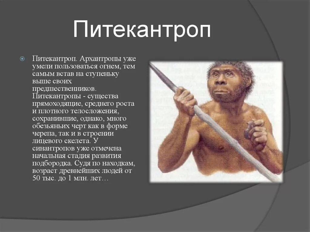 Архантропы особенности строения. Питекантроп и синантроп это. Человек прямоходящий питекантроп. Древнейшие люди питекантроп. Питекантроп Возраст.