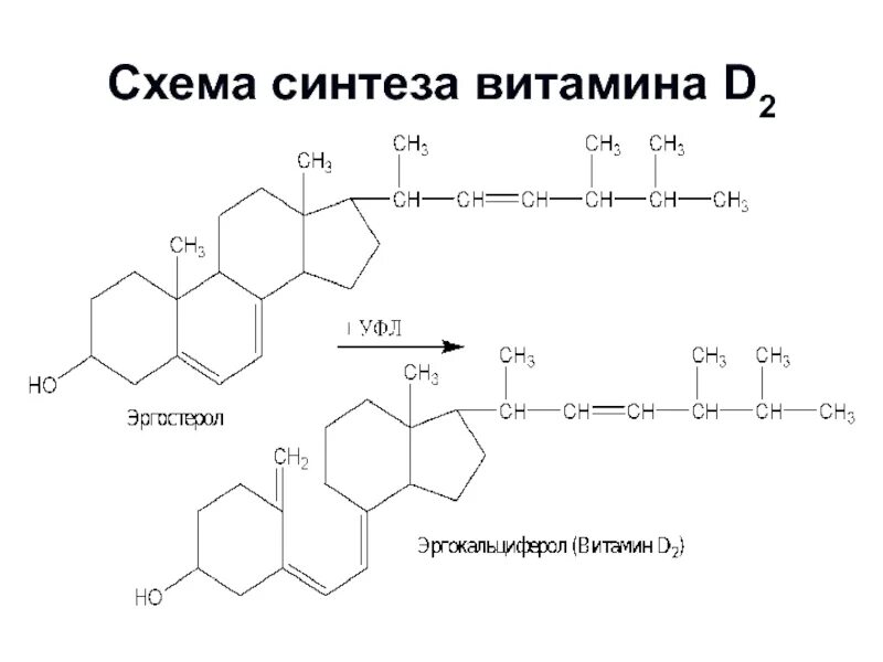 Микробиологический Синтез витамина б12. Микробиологический Синтез витамина в2 рибофлавина. Микробиологический Синтез витамина в12 схема. Синтез витамина в12.