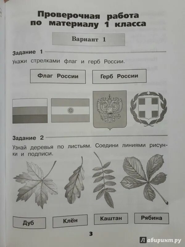 Контрольная по окружающему миру по зонам