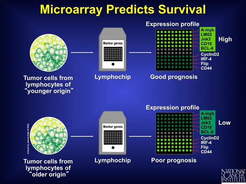 Microarray patch. Microarrays. microarray analysis. dna microarray. microarray data.