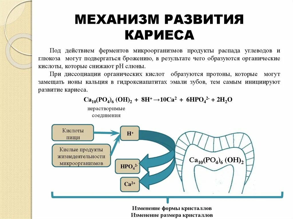 Биохимические основы развития кариеса. Механизм развития кариеса. Механизм образования кариеса. Механизм возникновения кариеса зубов. Резистентность эмали