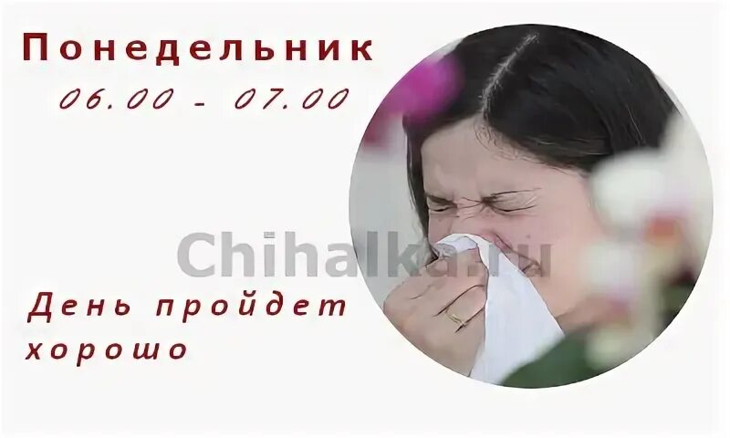 Чихнуть в понедельник по времени для женщин. Чихнуть в понедельник утром с 6 до 7 примета. чихалка понедельник. чихнуть в понедельник по времени. чихание примета.