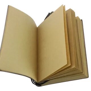 Большая книга для записей