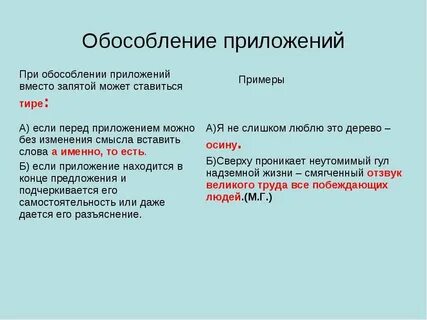 Приложение это особый