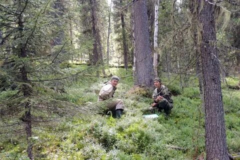 Жизнь в заповеднике