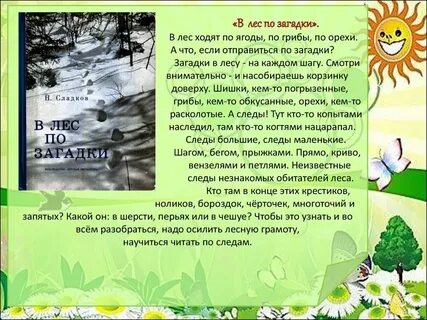 Загадка в лесу родился