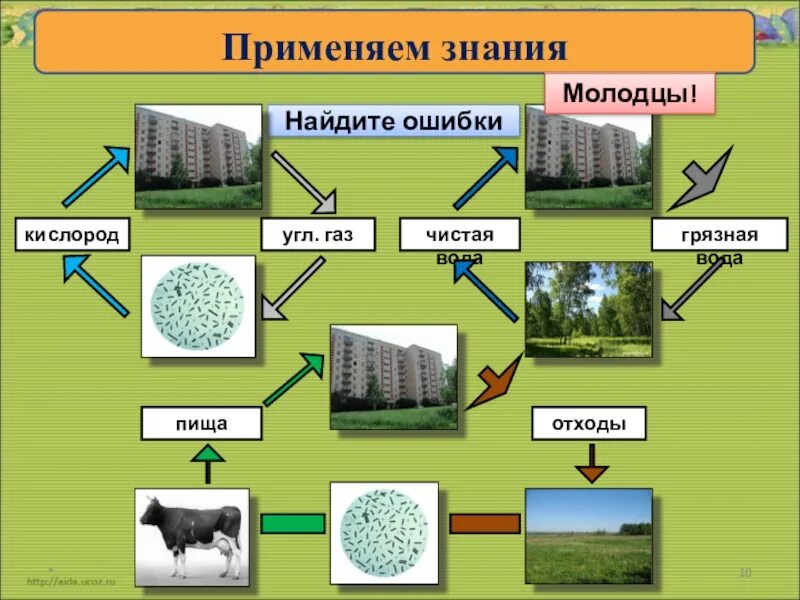 Круговорота веществ 3 класс. Окружающий мир модель круговорота веществ. Круговорот веществ в природе 3 класс окружающий мир. Великий круговорот в природе. Круговорот макулатуры.