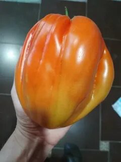 Слива тетушки сварло описание