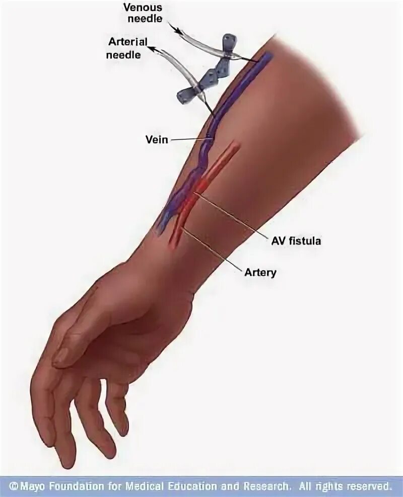 Pin on Medicine
