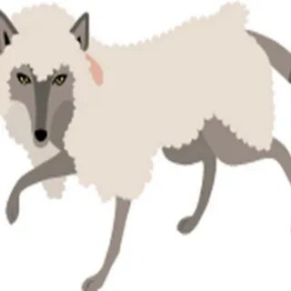 Wolf in sheep's