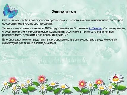 Экологическая система совокупность