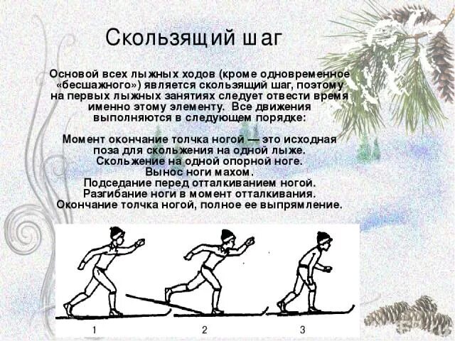 Основой всех лыжных ходов кроме бесшажного является